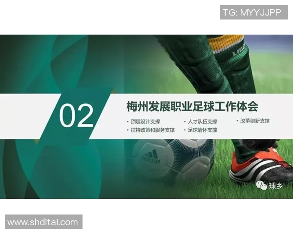 上海足球队的意识提升与发展探讨聚焦足球文化的传承与创新 上海足球队的意识提升与发展探讨聚焦足球文化的传承与创新