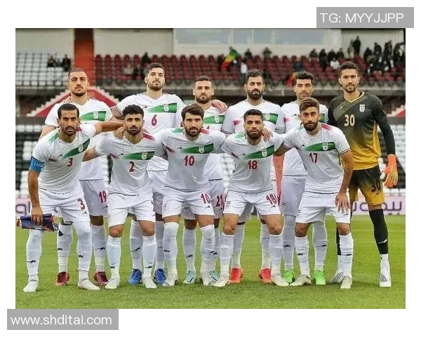 2002年伊朗足球明星阵容揭秘及其在世界杯上的表现分析