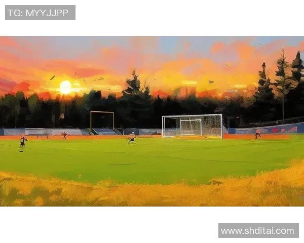 高清足球明星插图壁纸精选让你感受绿茵场上的激情与魅力