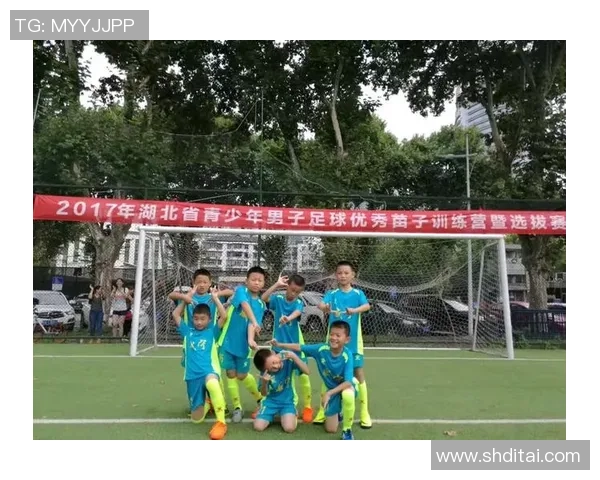 探索足球阅读卡的魅力与价值助力青少年成长与学习 探索足球阅读卡的魅力与价值助力青少年成长与学习