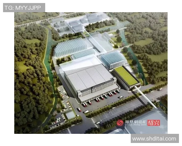 足球孙文昊：从青训新星到职业赛场的崛起之路与未来展望