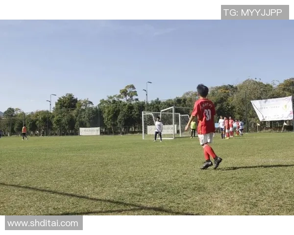 足球王文宗的传奇人生与不屈精神在绿茵场上的辉煌历程 足球王文宗的传奇人生与不屈精神在绿茵场上的辉煌历程