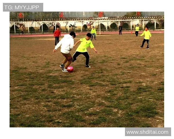 足球速描：从绿茵场到心灵深处的激情与梦想之旅