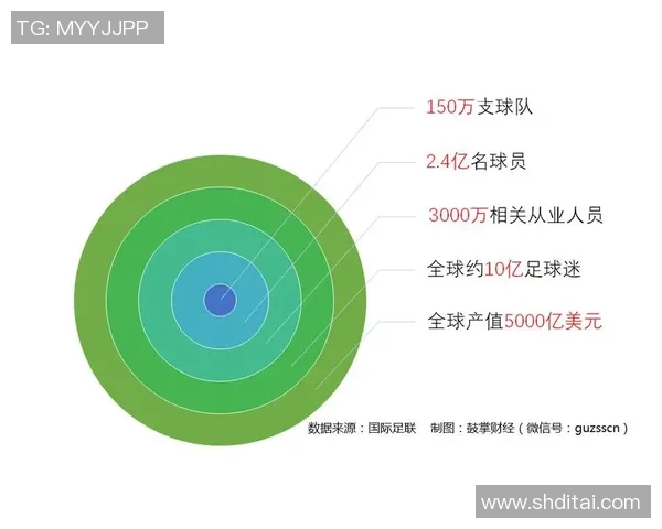 进口足球革的市场前景与发展趋势分析及其对足球产业的影响