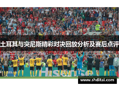 土耳其与突尼斯精彩对决回放分析及赛后点评