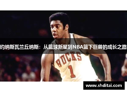 约纳斯瓦兰丘纳斯：从篮球新星到NBA篮下巨兽的成长之路
