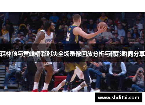 森林狼与黄蜂精彩对决全场录像回放分析与精彩瞬间分享 森林狼与黄蜂精彩对决全场录像回放分析与精彩瞬间分享