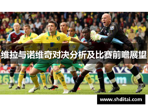维拉与诺维奇对决分析及比赛前瞻展望